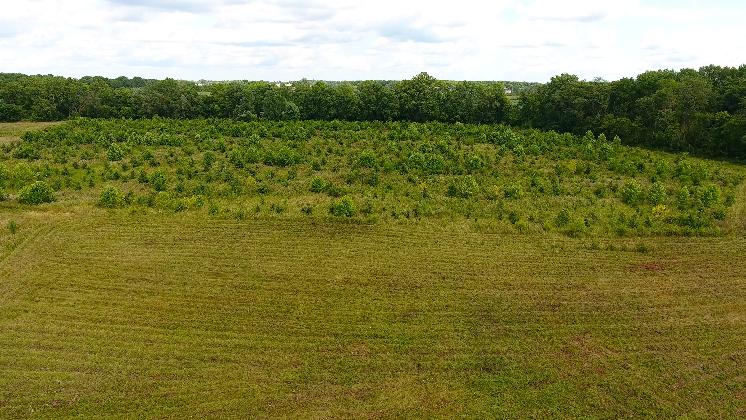 Property photo 10 - REAL ESTATE AUCTION - 26+/- ACRES IN 3 TRACTS IN SOUTHWEST ALLEN COUNTY, INDIANA